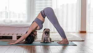 Puppy yoga w ogniu krytyki. Specjaliści ostrzegają przed nową modą