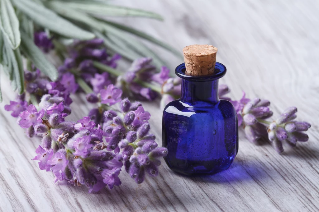 Naturalny olejek o zapachu lawendy gwarantuje aromaterapię i pozbycie się nieładnego zapachu