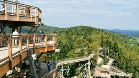 ​Nowa atrakcja w Krynicy-Zdrój. Dzieci będą zachwycone