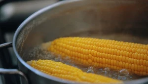 Niepozorna kukurydza ma w sobie wiele wartości odżywczych