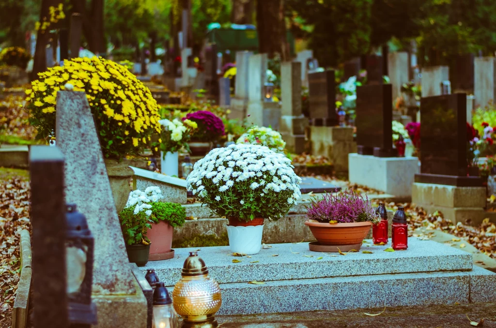 Po jakim czasie można utracić prawo do grobu? Pochówek a przepisy polskiego prawa