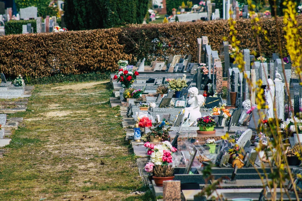 Ceny za miejsce na cmentarzu są zróżnicowane