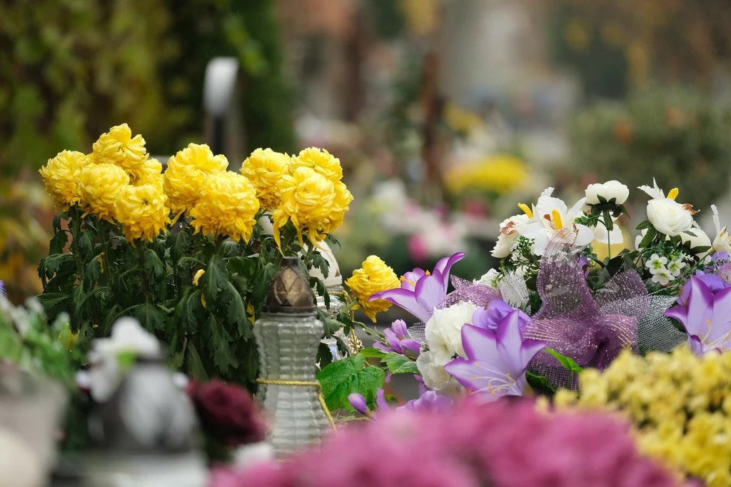 Jakie kwiaty na cmentarz o określonej porze roku?