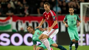 Márton Eppel znalazł zatrudnienie w Warcie Poznań. To ośmiokrotny reprezentant Węgier, w eliminacjach MŚ grał przeciwko Portugalii