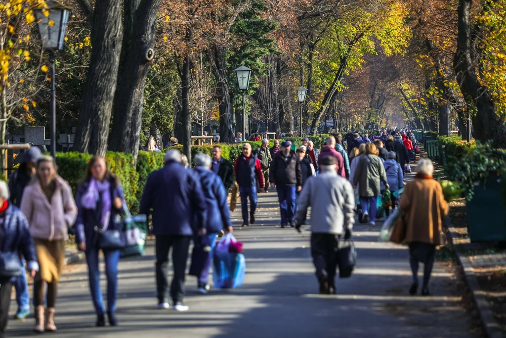 Prognoza pogody na najbliższe dni. Temperatury zaskoczą Polaków. Co z zimą?