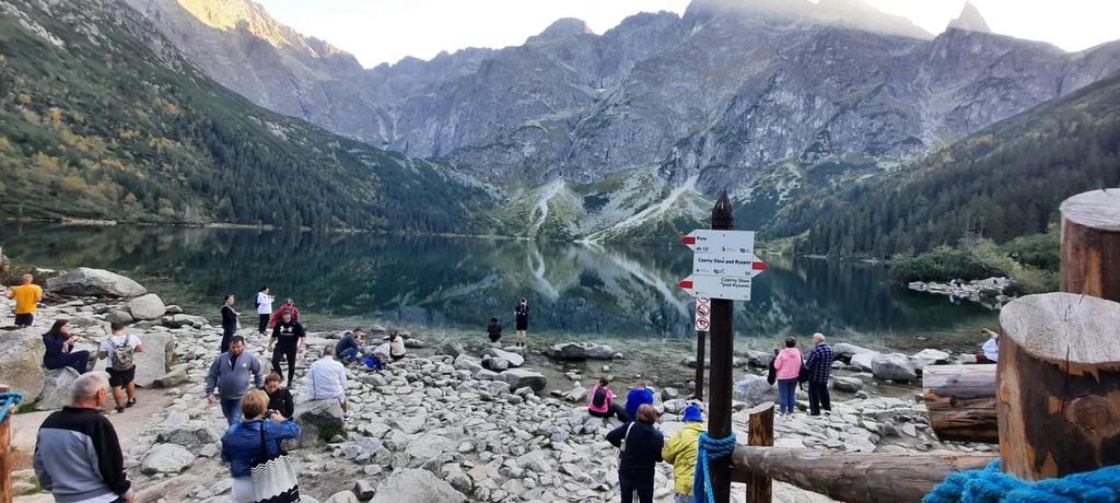 Monety, strzałka kierunkowa, to tylko kilka przedmiotów, które trafią na licytację