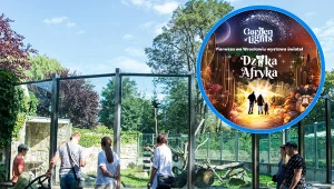 Niezwykła atrakcja we wrocławskim zoo. Będzie dostępna przez całą zimę