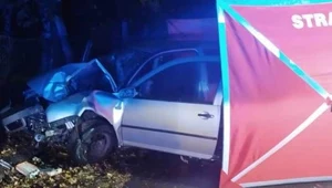 Śmiertelny wypadek w Grochocicach. Nie żyje 23-latek, pasażerowie w szpitalu