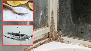 Zacieki na szybie prysznicowej? Spryskaj ją tym, a po 20 minutach będzie lśniła jak lustro