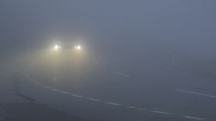 W poniedziałek wieczorem gęste mgły zakryją dużą część kraju. Wydano alerty IMGW dla dziewięciu województw