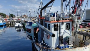 UE zdecydowała ws. połowu śledzi w 2024 roku. Na zdjęciu port w Ustce