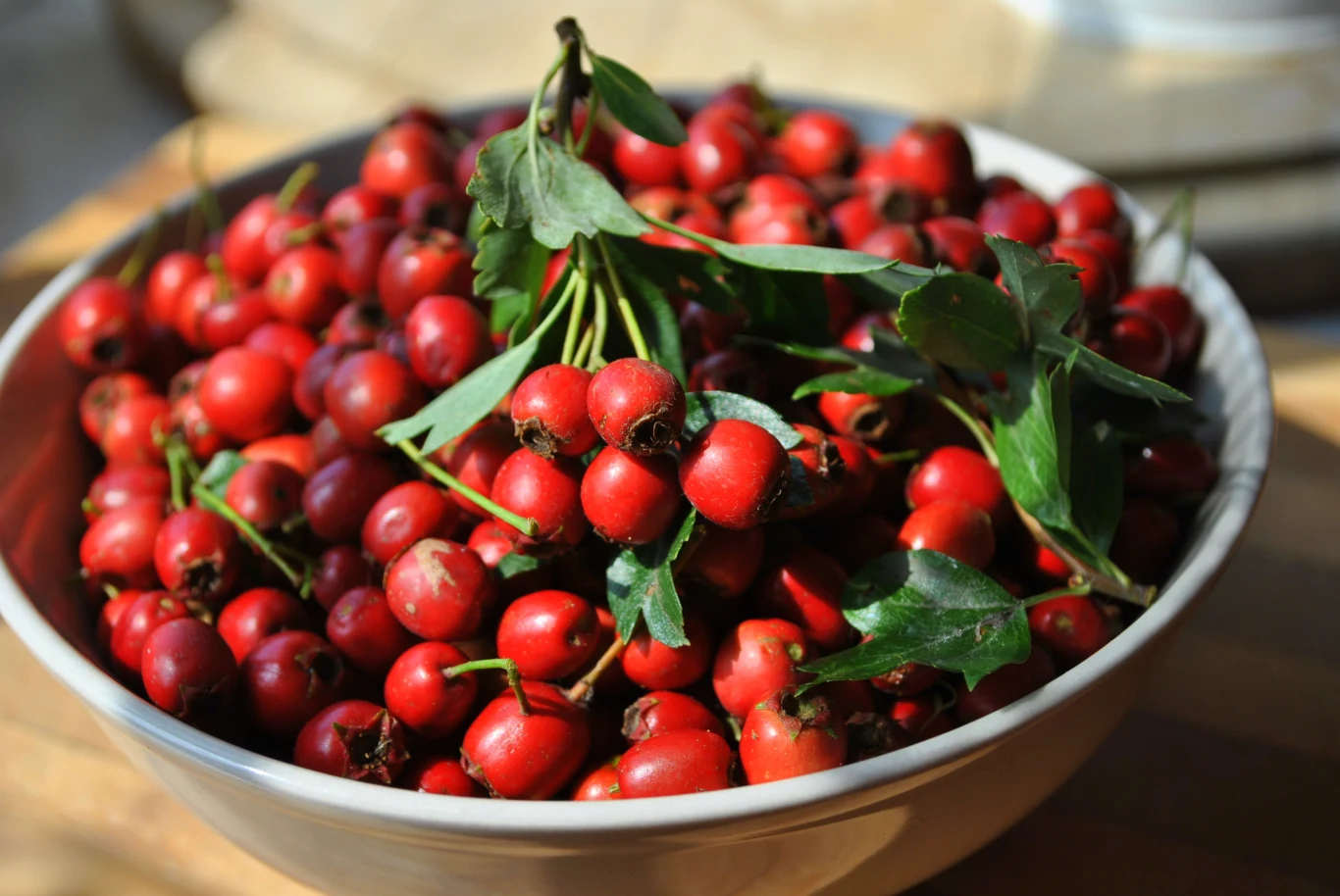 Nie tylko owoce głogu są cenne, ponieważ wartościowe są również jego kwiaty i liście