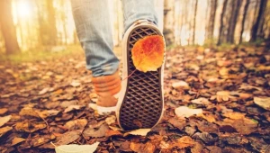 Nike Air Force One — buty, uwielbiane przez gwiazdy. Podpowiadamy, z czym je nosić w tym sezonie!