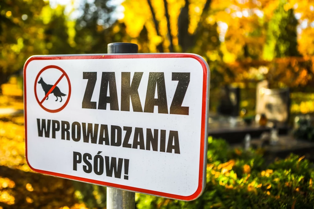 Jaką moc prawną mają zakazy wprowadzania psów na cmentarze?