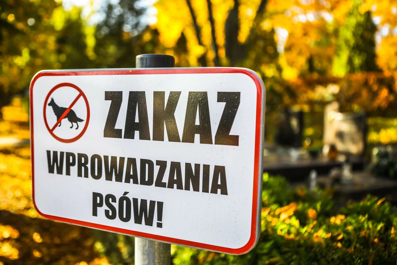 Jaką moc prawną mają zakazy wprowadzania psów na cmentarze? Jaką moc prawną mają zakazy wprowadzania psów na cmentarze?