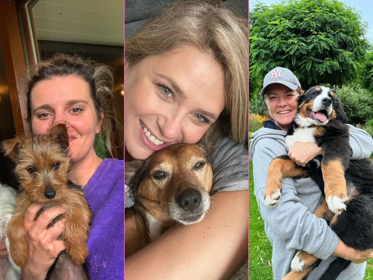 Te gwiazdy kochają swoje psiaki Te gwiazdy kochają swoje psiaki