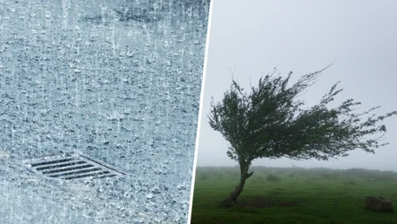 Synoptycy z IMGW prognozują wydanie alertów pierwszego stopnia dotyczące intensywnego deszczu oraz silnego wiatru dla dwóch południowych województw