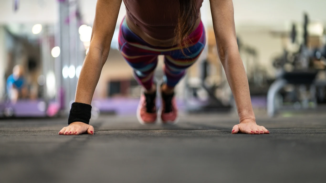FitProfit
