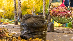 Jesienne liście nie będą już dłużej problemem. Przygotuj z nich kompost, a twoje rośliny ci podziękują