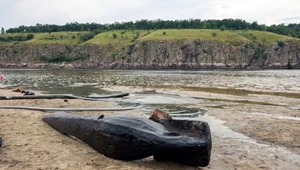 Sensacyjne doniesienia: Wysadzona ukraińska zapora to... kopalnia skarbów