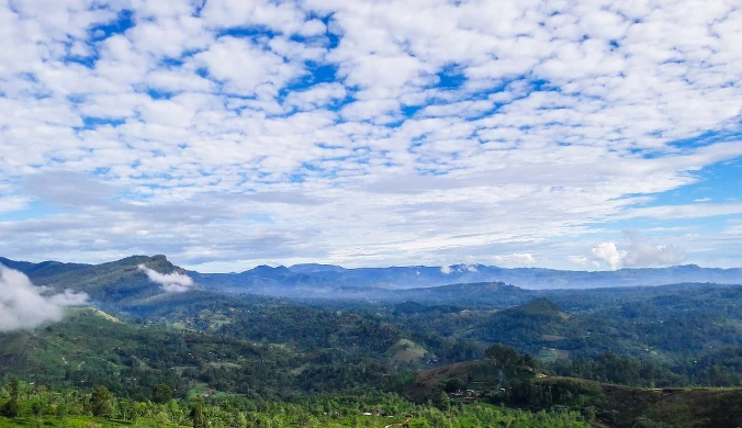 Sri Lanka przed pandemią Covid-19 była miejscem chętnie odwiedzanym przez turystów