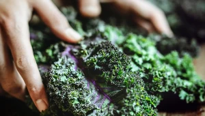 Jarmuż to najzdrowszy bo najbogatszy w witaminy i antyoksydanty reprezentant rodziny Kapustowach. Przekonaj się, że warto go jeść