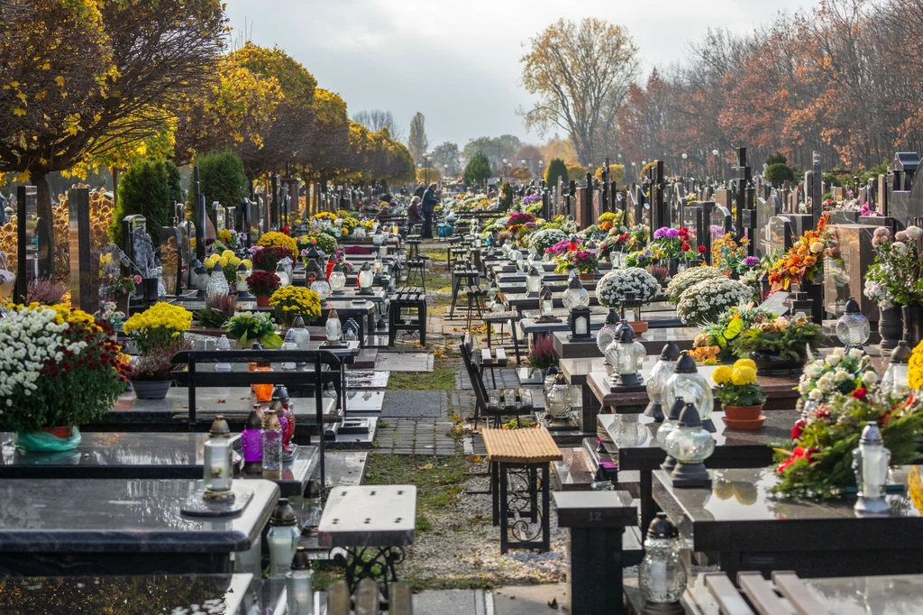 W wyszukiwarce do wpisaniu imienia i nazwiska zmarłej osoby ukaże się oznaczenie sektora, rzędu jak i grobowca 