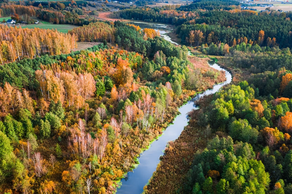 Rząd stoi przed wyzwaniem dotyczącym ochrony klimatu