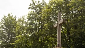 Leśny cmentarz bez nagrobków w Poznaniu. Mniejsza szkoda dla środowiska