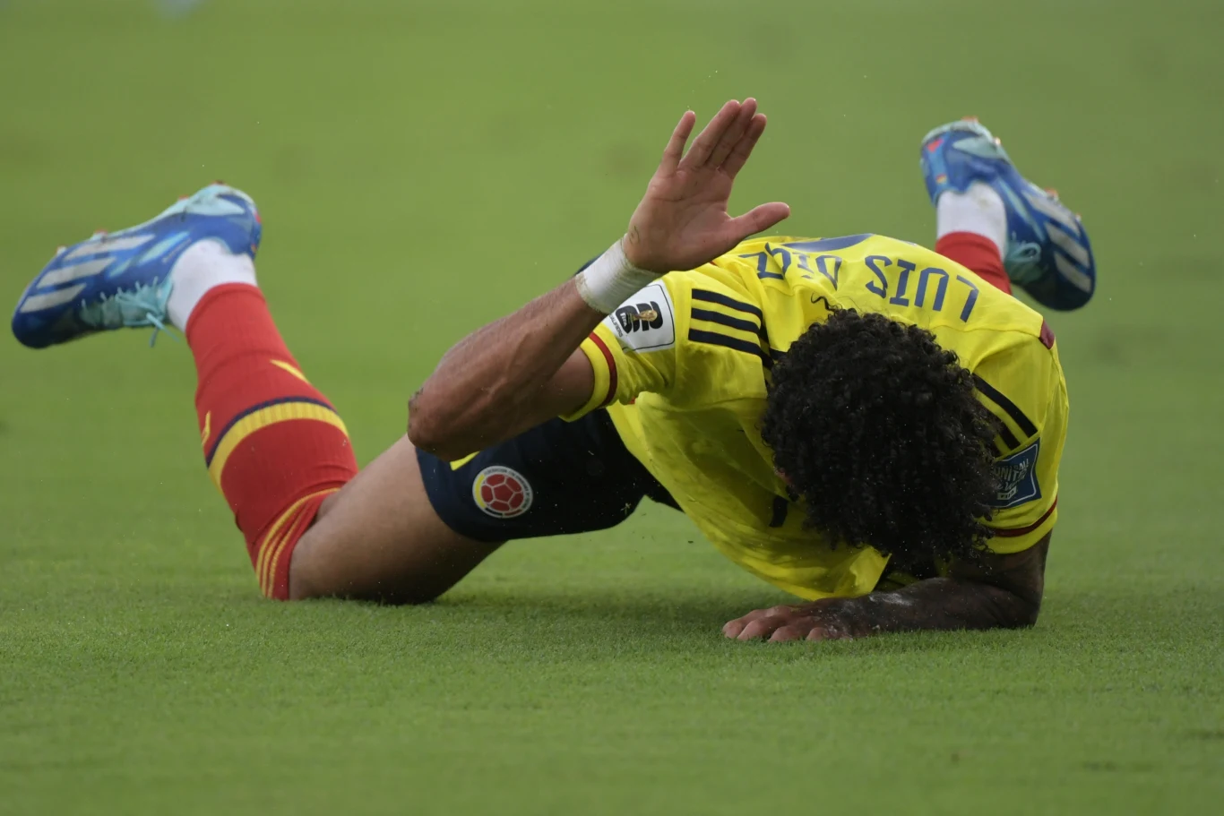 Luis Diaz