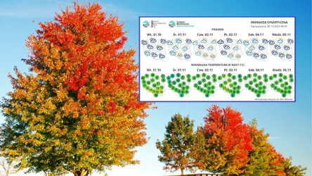 W nadchodzącym tygodniu będzie przeważnie ciepło i słonecznie, jednak pogoda w Dzień Wszystkich Świętych znacznie się pogorszy