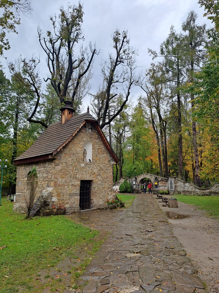 Cmentarz na Pęksowym Brzyzku 