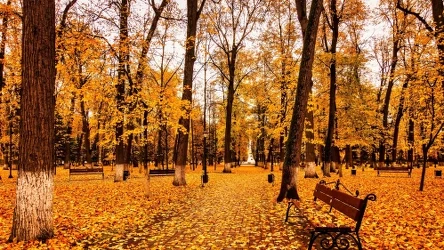 Pogoda w Dzień Wszystkich Świętych będzie deszczowa w dużej części kraju. Sytuacja poprawi się w Zaduszki - wynika z prognoz IMGW