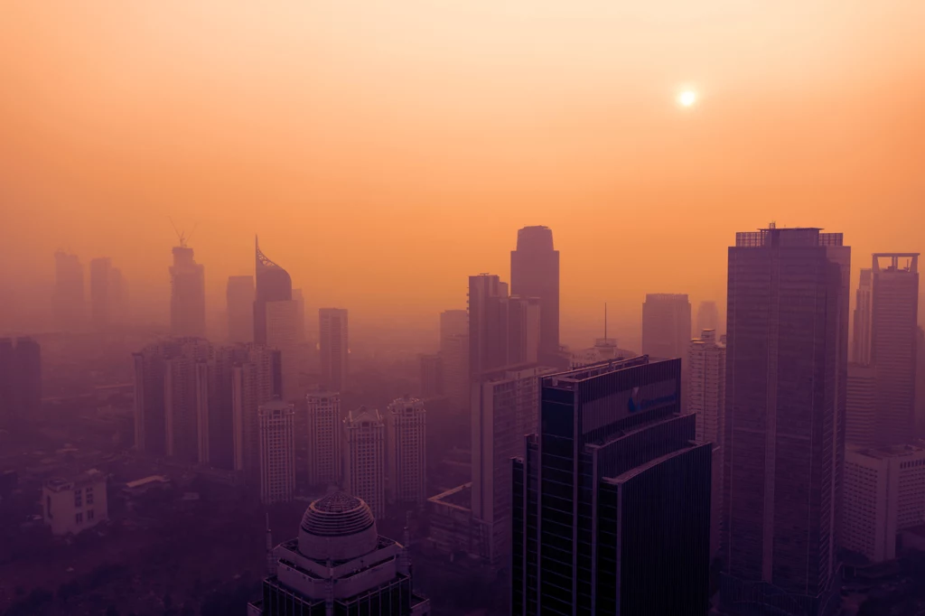 Smog ma poważne skutki dla zdrowia człowieka