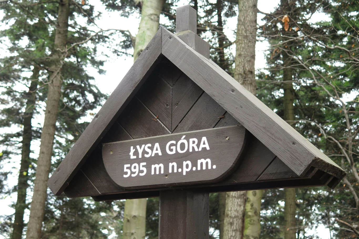 Łysa Góra w Górach Świętokrzyskich. Czasem można spotkać ten szczyt pod nazwą Łysiec, Święty Łysiec, albo Święty Krzyż.