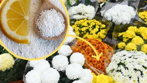 Kup za 1,50 zł i wsyp do wody, a kwiaty w wazonie będą stały tygodniami