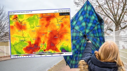 Pogoda we wtorek będzie wymagająca: nie zabraknie opadów deszczu i silnego wiatru. Wystosowano alerty IMGW i RCB