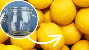 Cytryna nigdy więcej nie spleśnieje. Zrób to przed włożeniem jej do lodówki