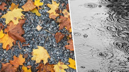 Pogoda na Wszystkich Świętych będzie bardziej deszczowa, szczególnie na wschodzie Polski. W Zaduszki sytuacja się poprawi - prognozuje IMGW