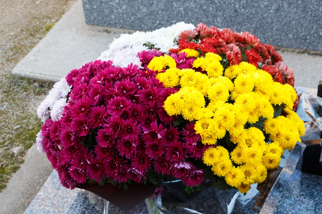 Skąd tradycja chryzantem na cmentarzach? Skąd tradycja chryzantem na cmentarzach?