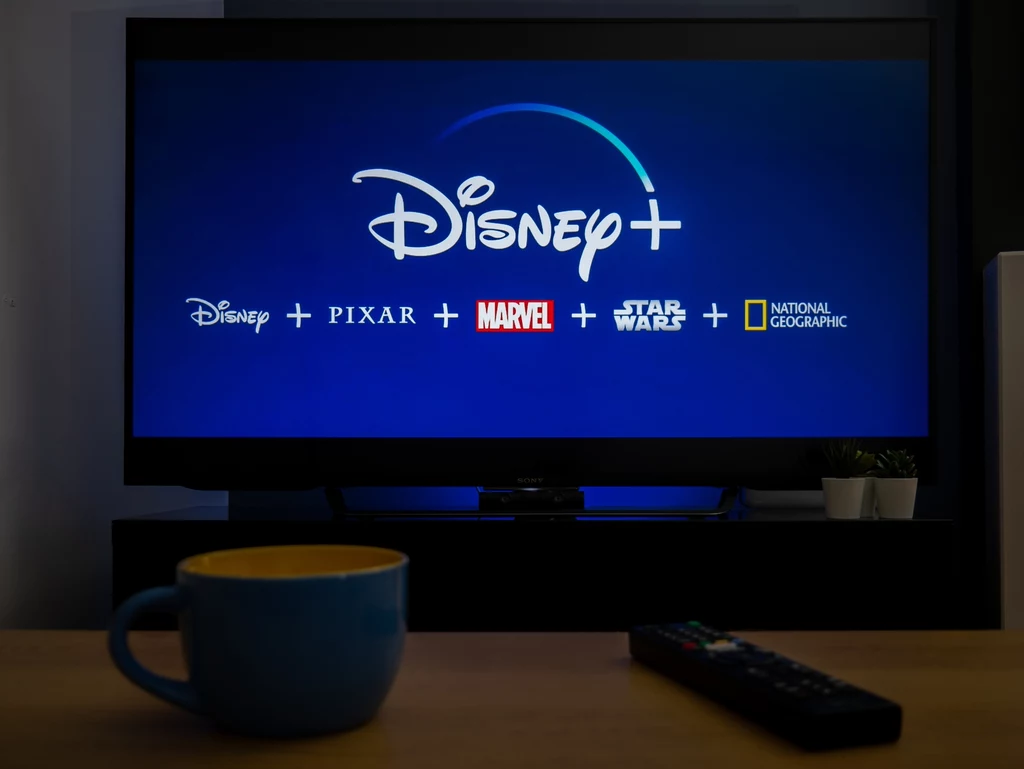 Listopad w Disney+. Sporo nowości i wielkie hity