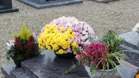 Jakich kwiatów lepiej nie stawiać na grobach? 