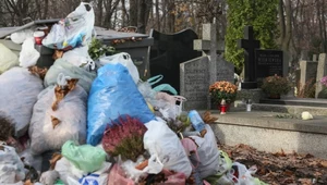 Wstydliwy problem na polskich cmentarzach. Groby toną w śmieciach