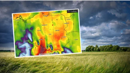 Pogoda w Zaduszki będzie słoneczna i bez opadów deszczu. Jednak IMGW i RCB wydały alerty ostrzegające przed bardzo silnym wiatrem, który przyniesie orkan Ciaran
