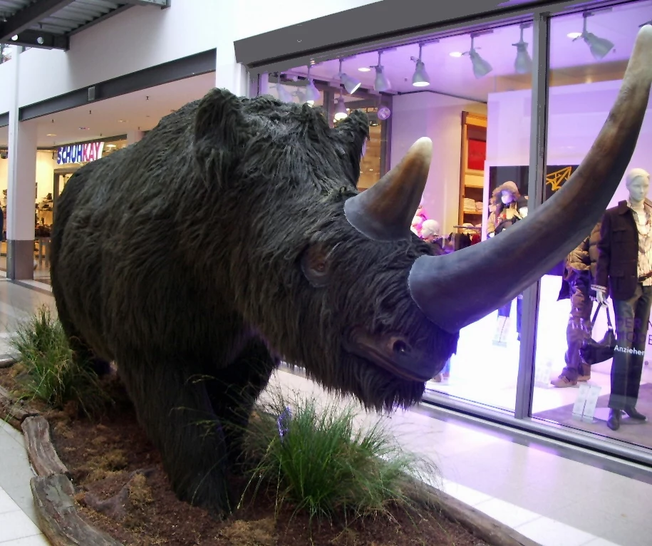 Muzealna rekonstrukcja nosorożca włochatego