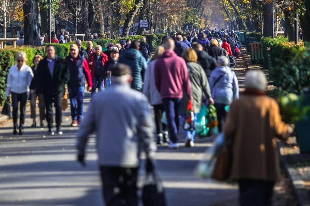 To jeden z największych warszawskich cmentarzy. 