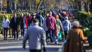 Niesamowite sceny przed jedną z warszawskich nekropolii. "Normalnie jesz sobie obiad na cmentarzu"