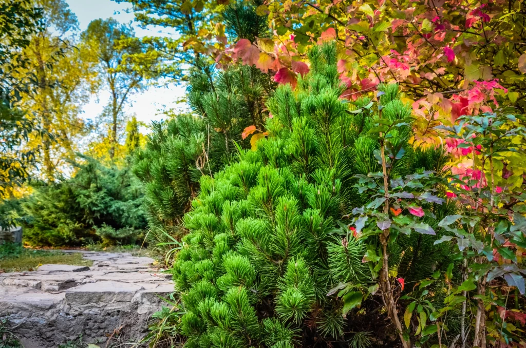 Późna jesień to ostatni dzwonek, by zabezpieczyć rośliny na zimę Późna jesień to ostatni dzwonek, by zabezpieczyć rośliny na zimę