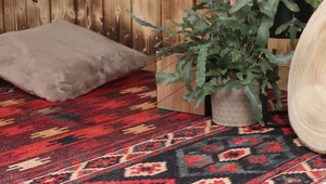 EKO mieszkanie z dywanem na podłodze? To możliwe! Zobacz
