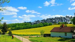 Tak wygląda najmniejsza wieś w Polsce. Mieszka tam tylko kilka osób
